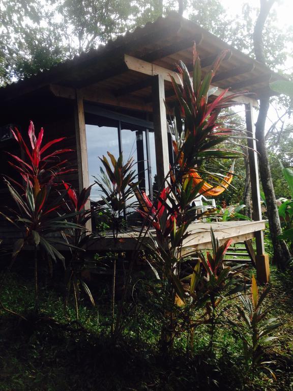 Howlers Bay Hotel Boca Chica Exterior photo
